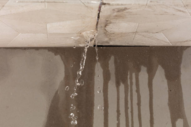 Professional Structural Drying technician working in Morrisonville, WI